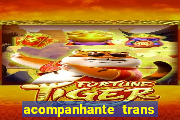 acompanhante trans em santos